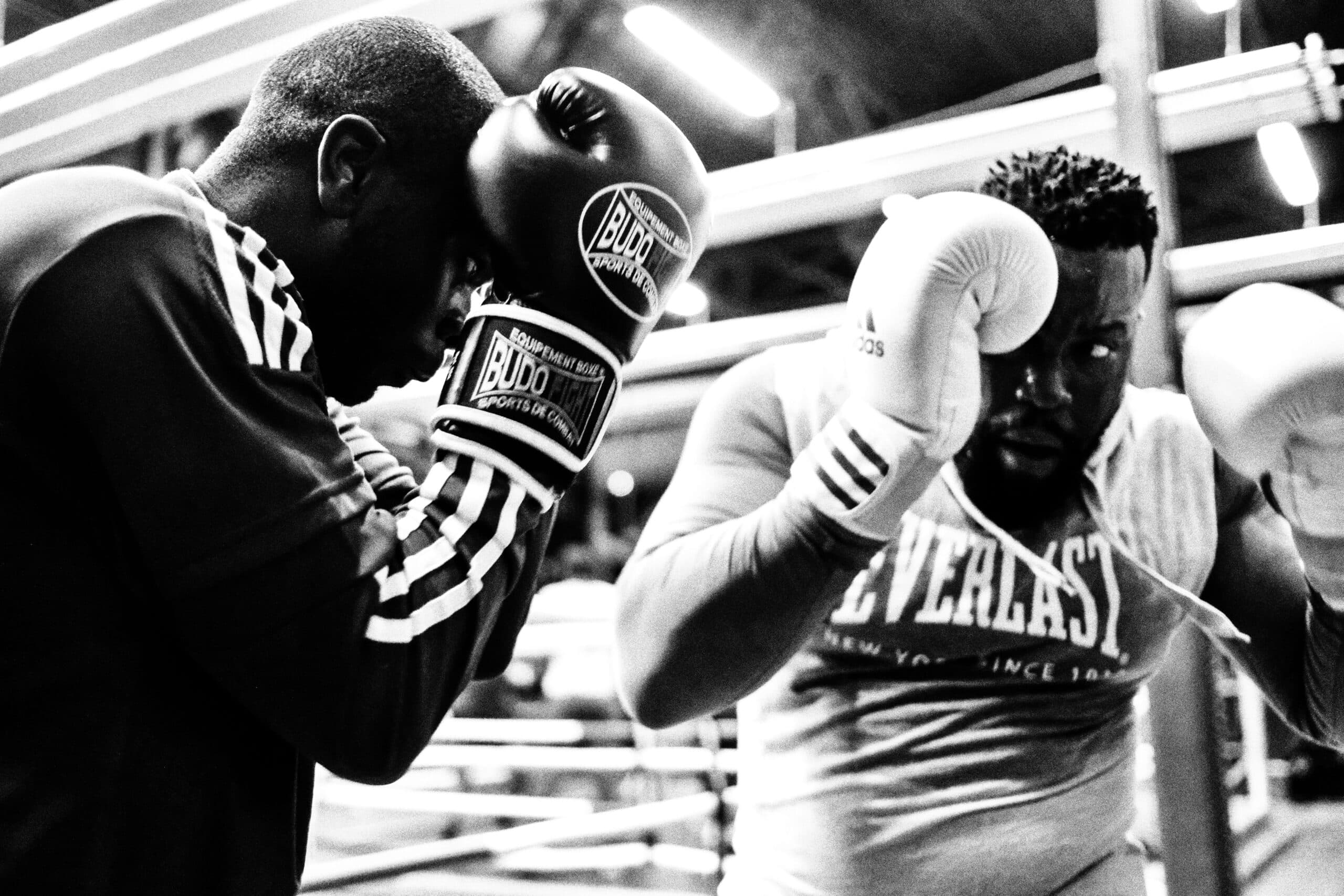 johann-walter-bantz-HG1pkXN7SVA-unsplash Two male boxers, wearing gloves and athletic gear, face off in a boxing ring. The intense black-and-white close-up highlights their determination, evoking the understanding of fight, flight, freeze, and fawn responses in the heat of competition.