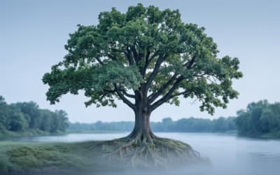Beyond the Diagnosis: A Human-First Approach to ADHD and Executive Functioning